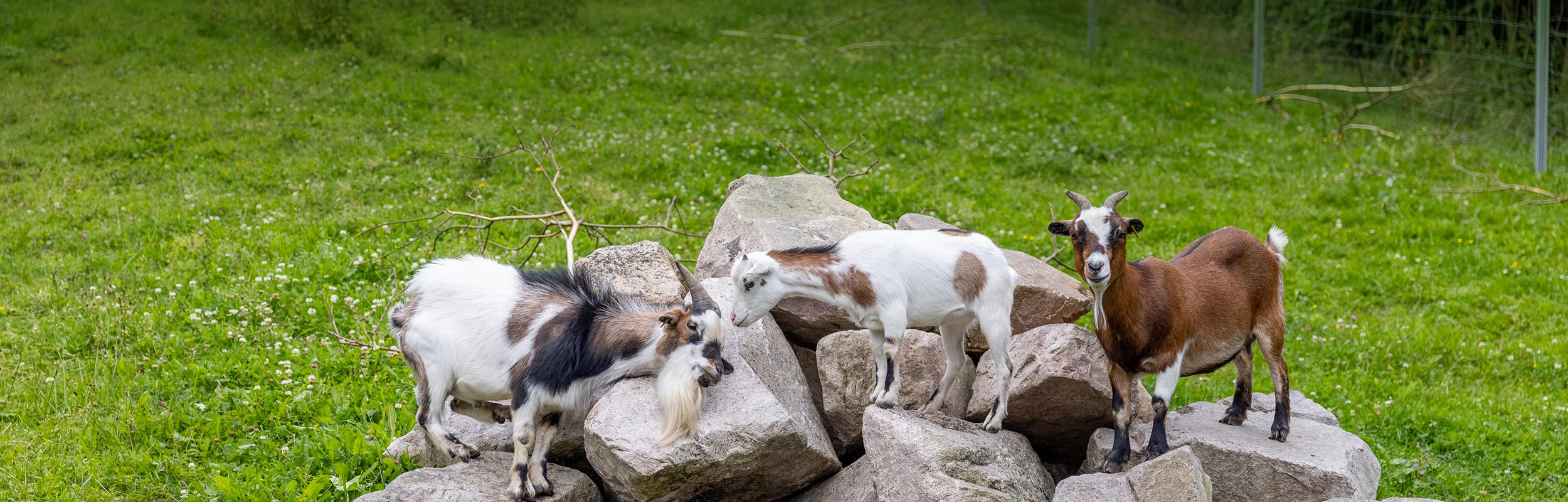 Hotel bei Oberwiesenthal